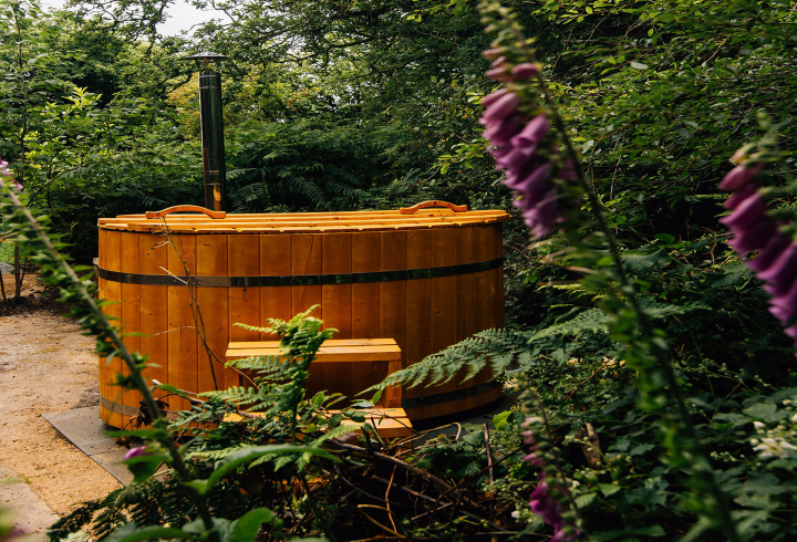 Forest Domes - Image #6